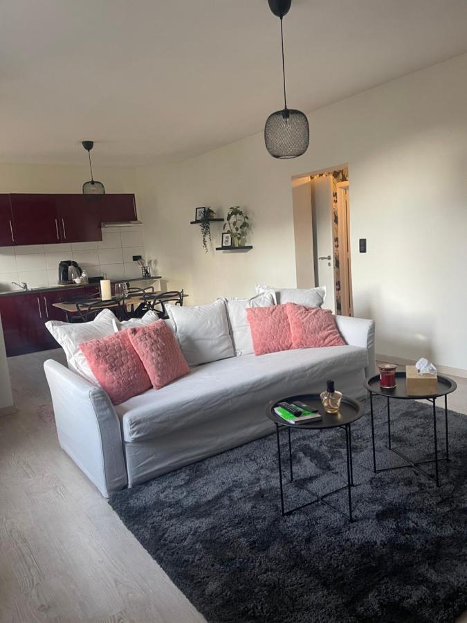 Appartement Le Cocon De La Belle Liegeoise Liège